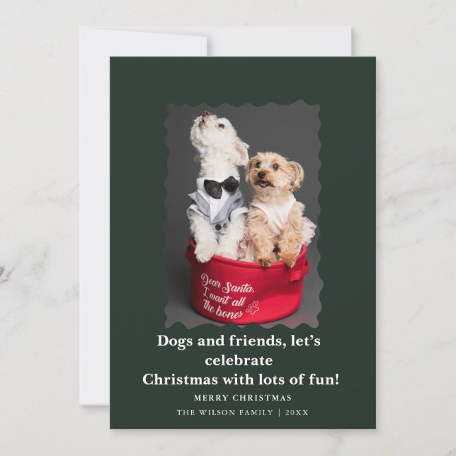 Chiens drôles et mignons disant carte de vacances  (Devant)