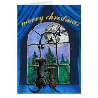 chiens du springador "en attente de père Noël" pou