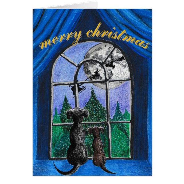 chiens du springador "en attente de père Noël" pou (Devant)