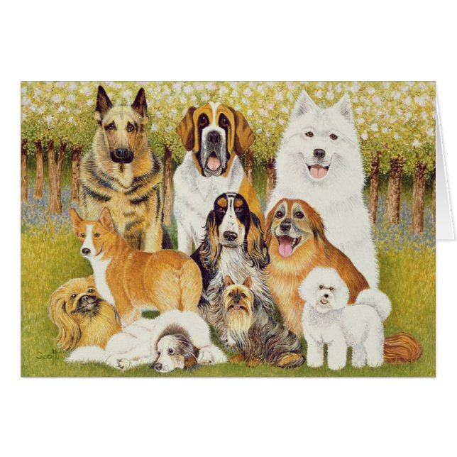 Chiens en mai (Devant horizontal)