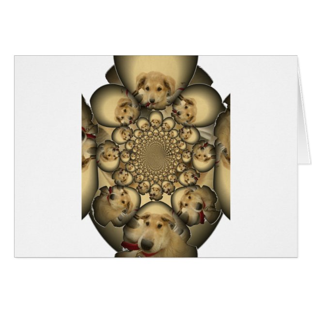 Chiens et chiots Hakuna Matta à l'infini sty extra (Devant horizontal)