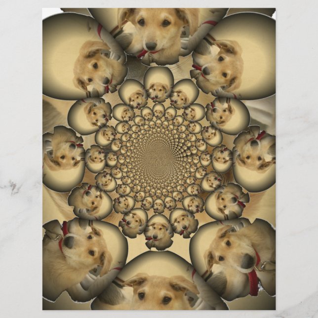 Chiens et chiots Hakuna Matta à l'infini sty extra (Devant)