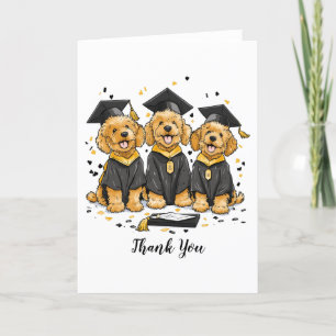 Chiens Goldendoodle Merci
