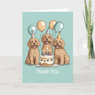 Chiens Goldendoodle Merci