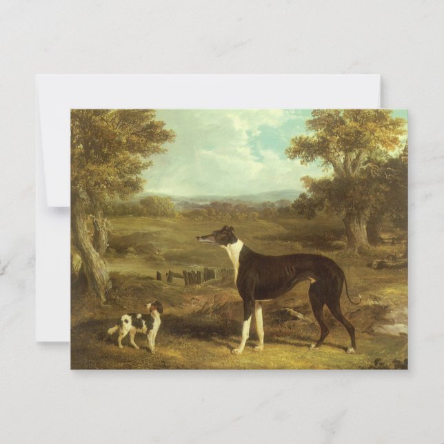 Chiens, Greyhound et Espagnol, Docteur Fop par Her (Devant)