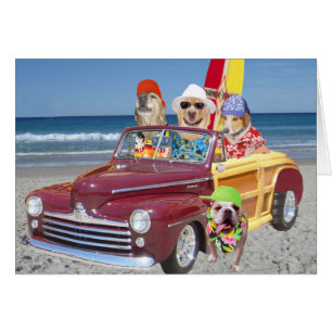 Chiens/laboratoires sur la plage