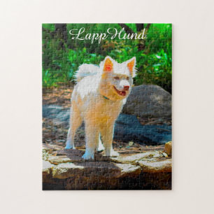 Chiens Lapphund. Puzzle