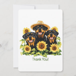 Chiens Merci Rottweiler entourés de tournesols