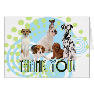 Chiens mignons en Merci blanc bleu et vert