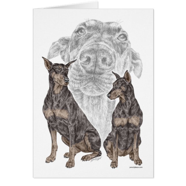 Chiens noirs Doberman (Devant)