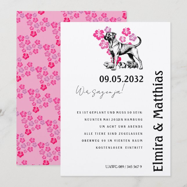 Chiens, petits animaux, grand amour : Invitation à (Devant / Derrière)