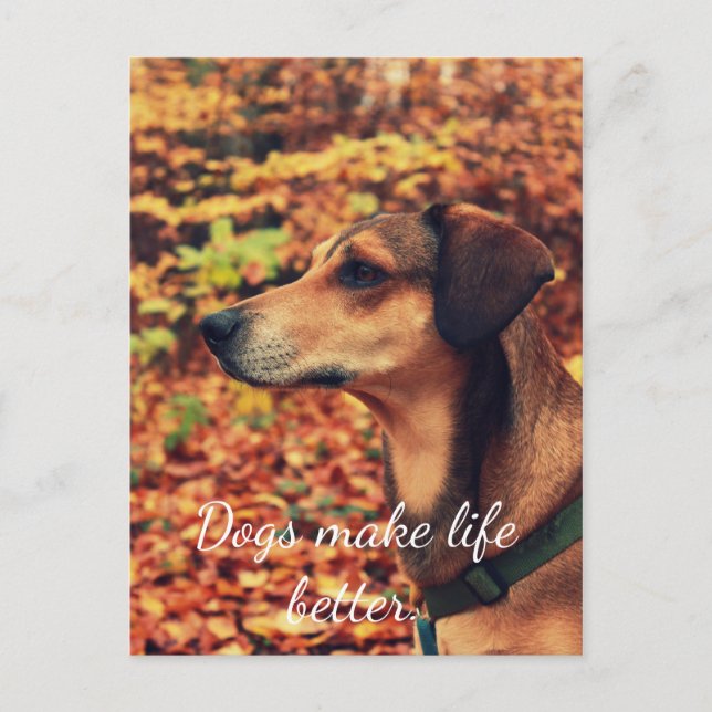 CHIENS RENDRE LA VIE MEILLEURE Carte postale pour  (Devant)