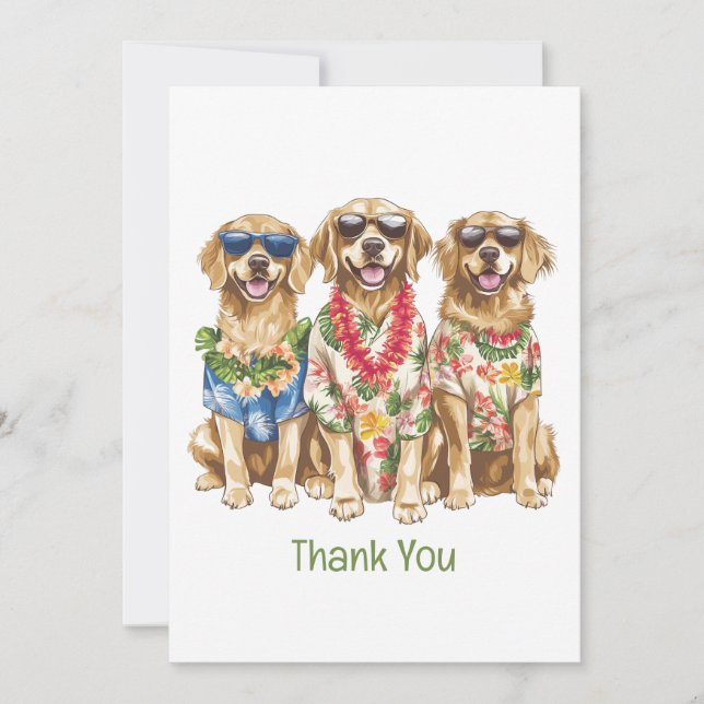 Chiens Retriever Dorés Hawaïens Merci (Devant)