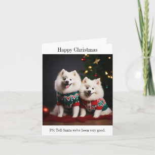 Chiens Samoyés Bonne carte de Noël