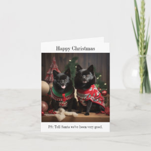 Chiens Schipperke Bonne carte de Noël