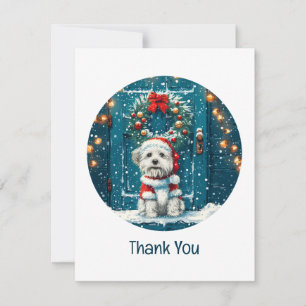 Chiens Shih Tzu de Noël Merci