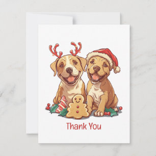 Chiens taureaux de Noël Merci