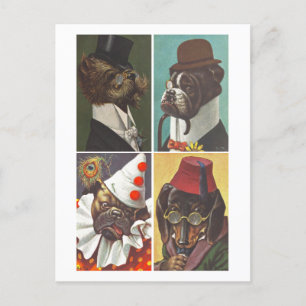 Chiens vintages portant des vêtements Carte postal
