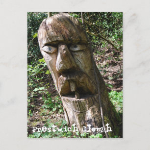 Chiffre d'arbre à dents dans la carte postale de P
