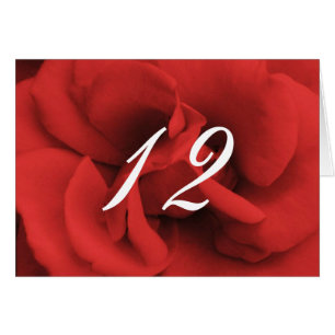 Chiffres du Mariage des pétales de rose rouge