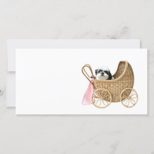 Chih Tzu baby buggy