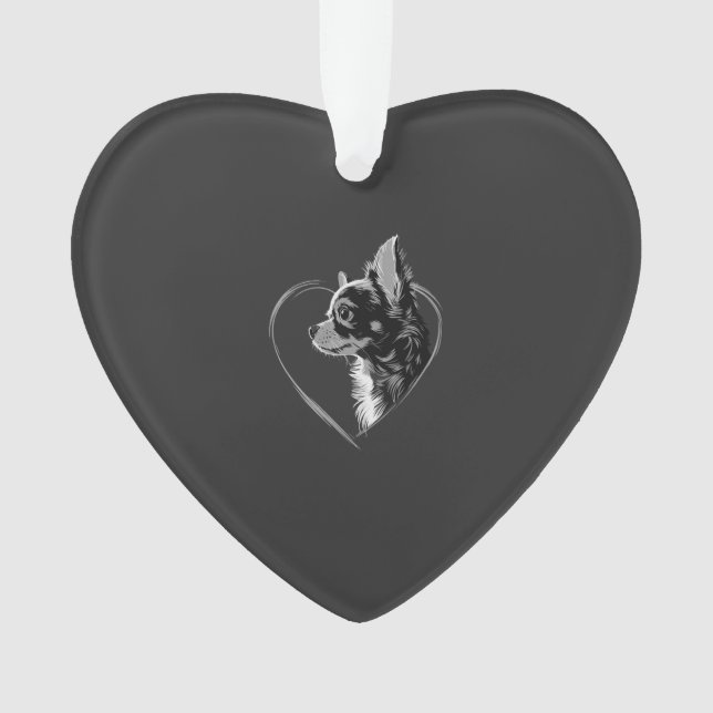 Chihuahua      (devant)