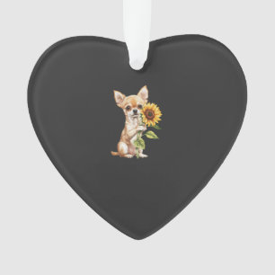 Chihuahua  
