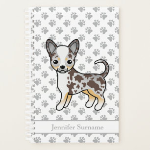 Chihuahua au pelage lisse Merle Chocolat & Texte
