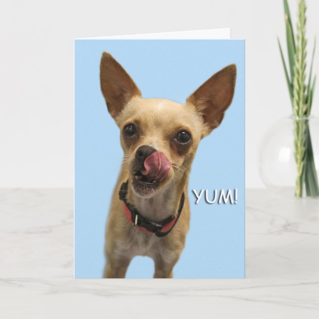 Chihuahua Carte d'anniversaire par thème pour une  (Devant)