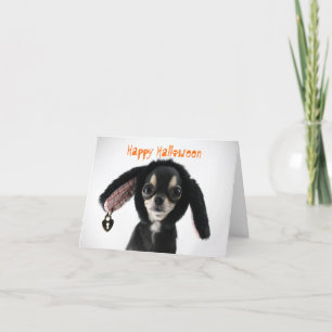 Chihuahua Carte de voeux Halloween