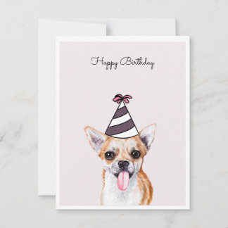 Chihuahua Chien avec carte Casquette de fête