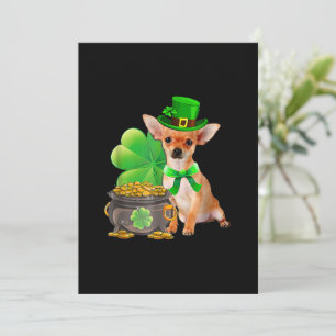 Chihuahua Chien Shamrock Chien Jour de la Saint Pa