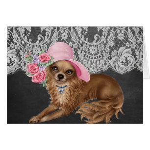 Chihuahua Chiens en Casquette