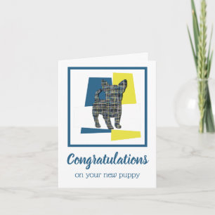 Chihuahua Chiot Chien Félicitations Carte de voeux