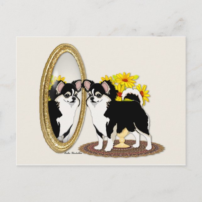 Chihuahua Dans Une Carte Postale Miroir (Devant)