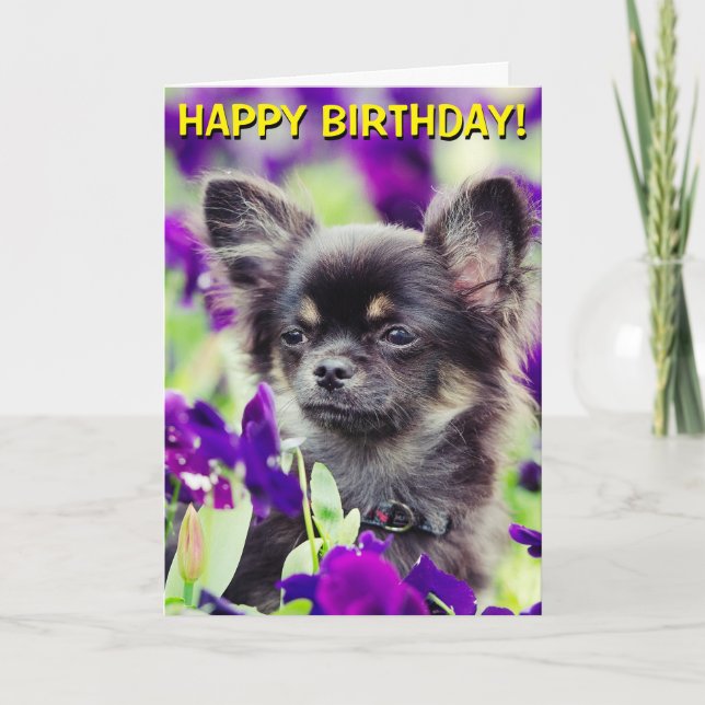 Chihuahua en fleurs carte d'anniversaire (Devant)