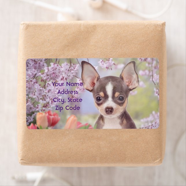 Chihuahua expédition de chiens étiquettes (En situation)