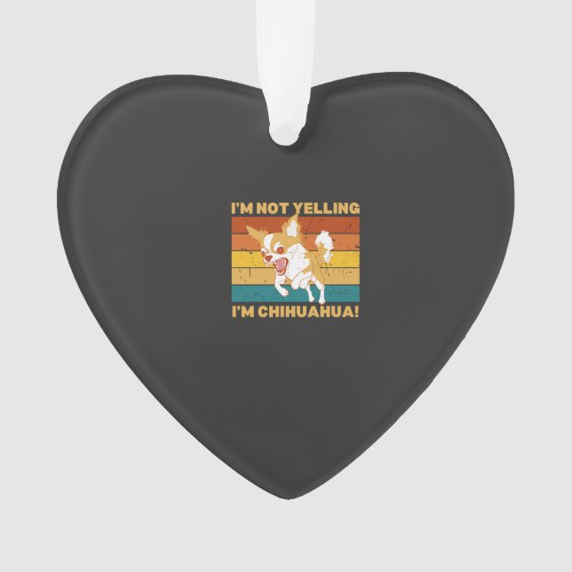 Chihuahua je ne crie pas. (devant)