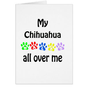 Chihuahua marche design