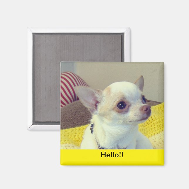 Chihuahua Puppy Portrait Magnet (Recto/Verso)