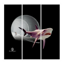 Chihuahua Vicieux En Train De Chasser Un Requin Te