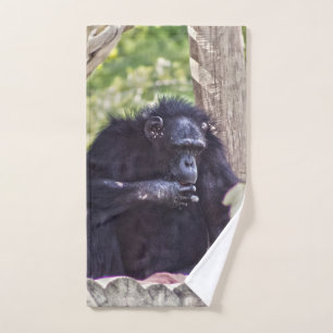 Chimpanzé
