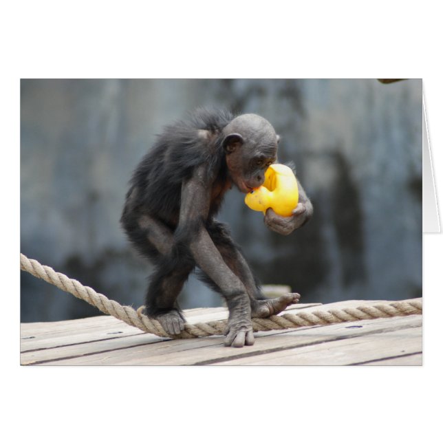 Chimpanzé et rubbérage Ducky (Devant Horizontal)