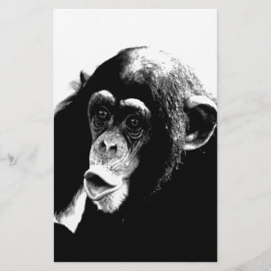 Chimpanzé noir blanc