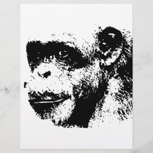 Chimpanzé noir et blanc