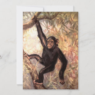 Chimpanzé pendu dans l'arbre