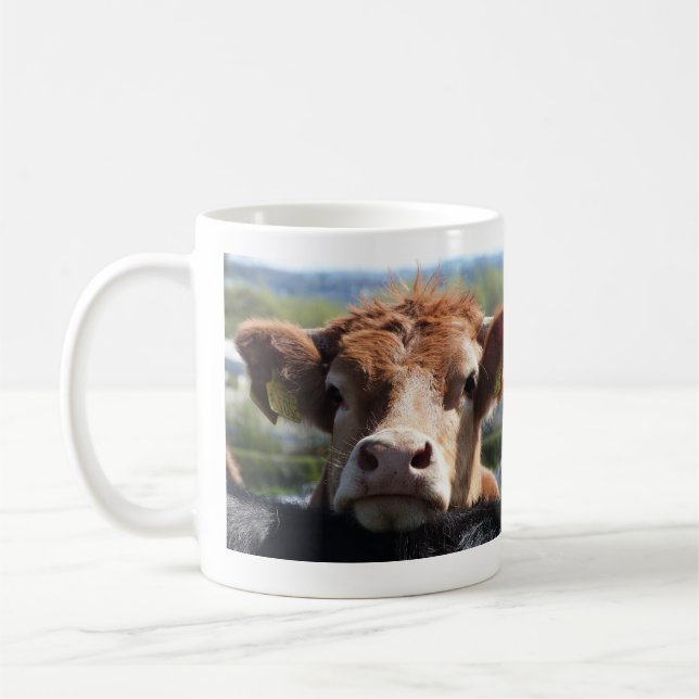 Chin, tasse de vache (Gauche)