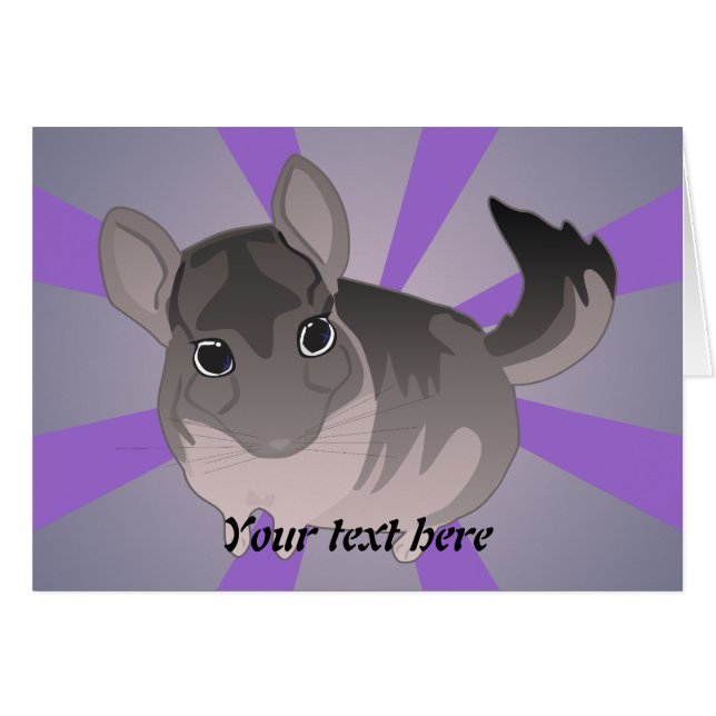 Chinchilla (Devant horizontal)