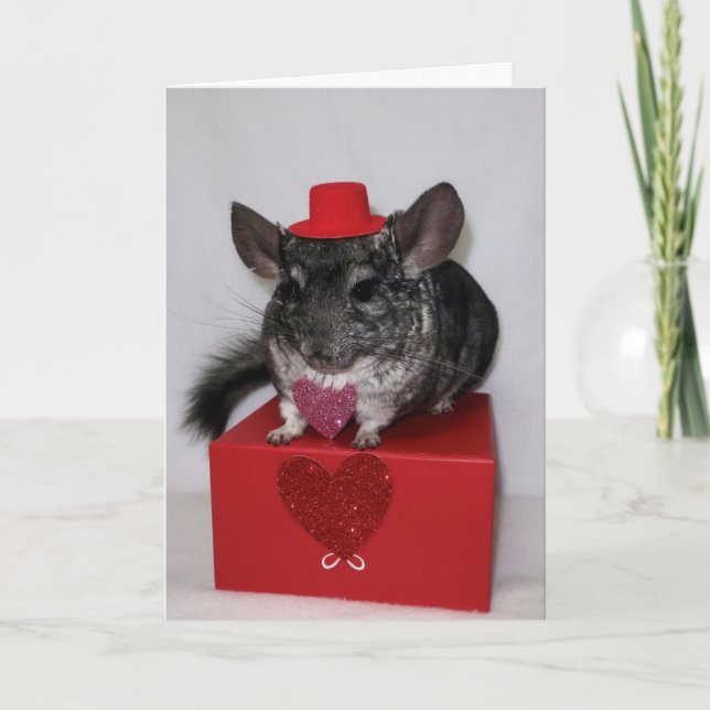 Chinchilla avec chapeau rouge et carte cardiaque (Devant)