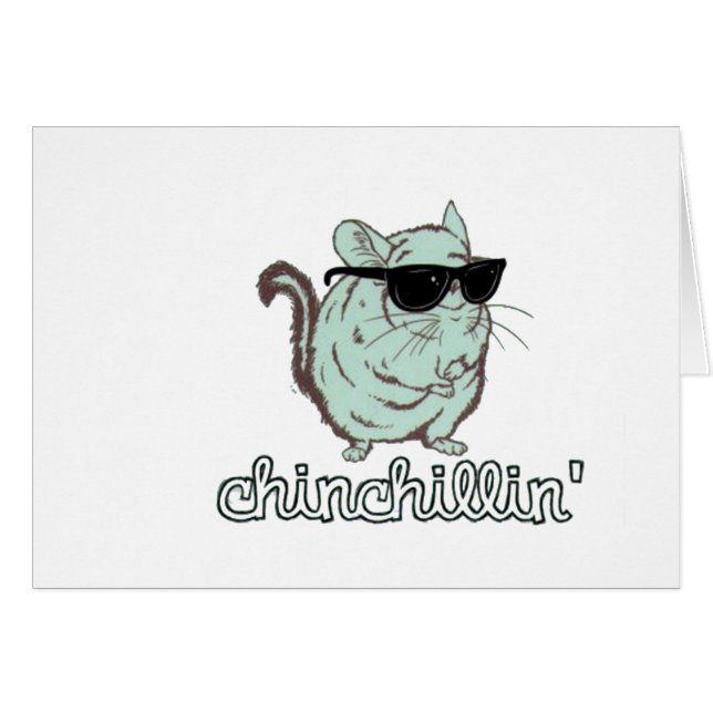Chinchilla bleu de Chinchillin (Devant horizontal)